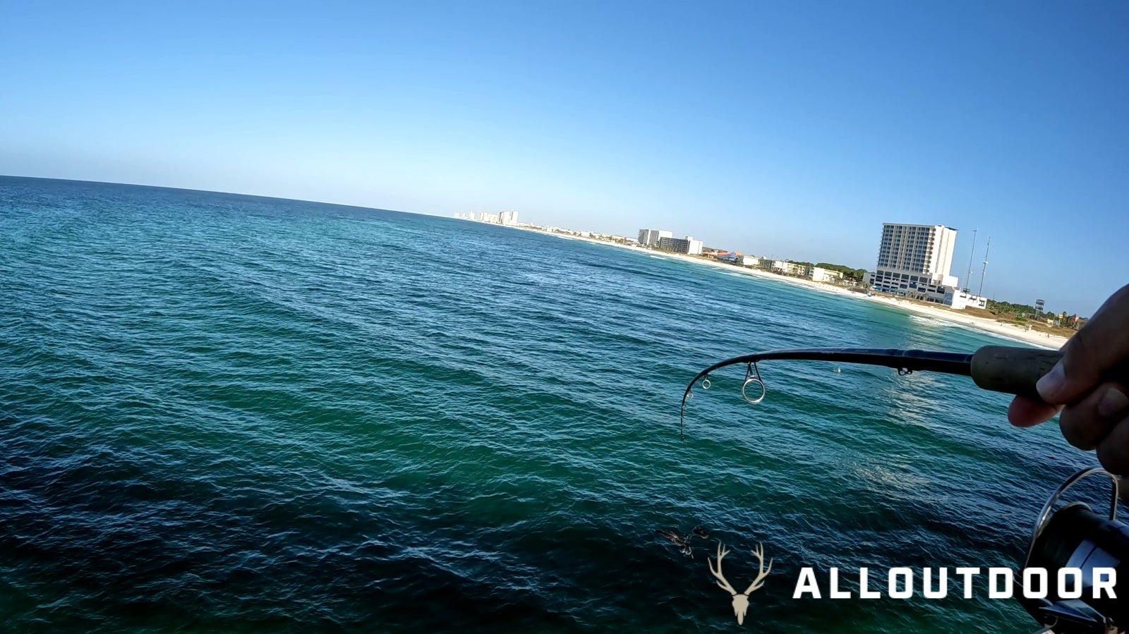 Feast or Famine - October Pier Fishing in PCB