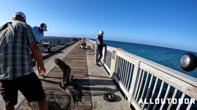 Feast or Famine: October Pier Fishing in Panama City Beach – Part 3