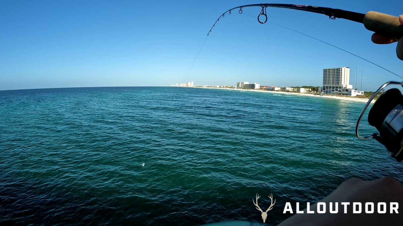 Feast or Famine - October Pier Fishing in PCB