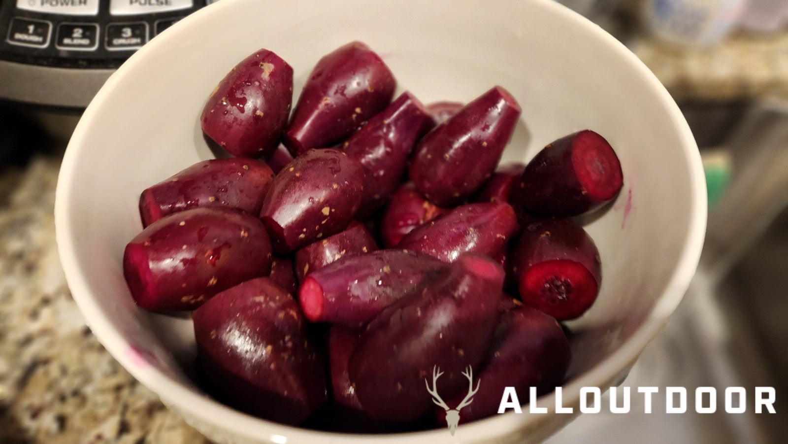 Surf n' Turf Topper - How to Make your Own Prickly Pears into Jelly!
