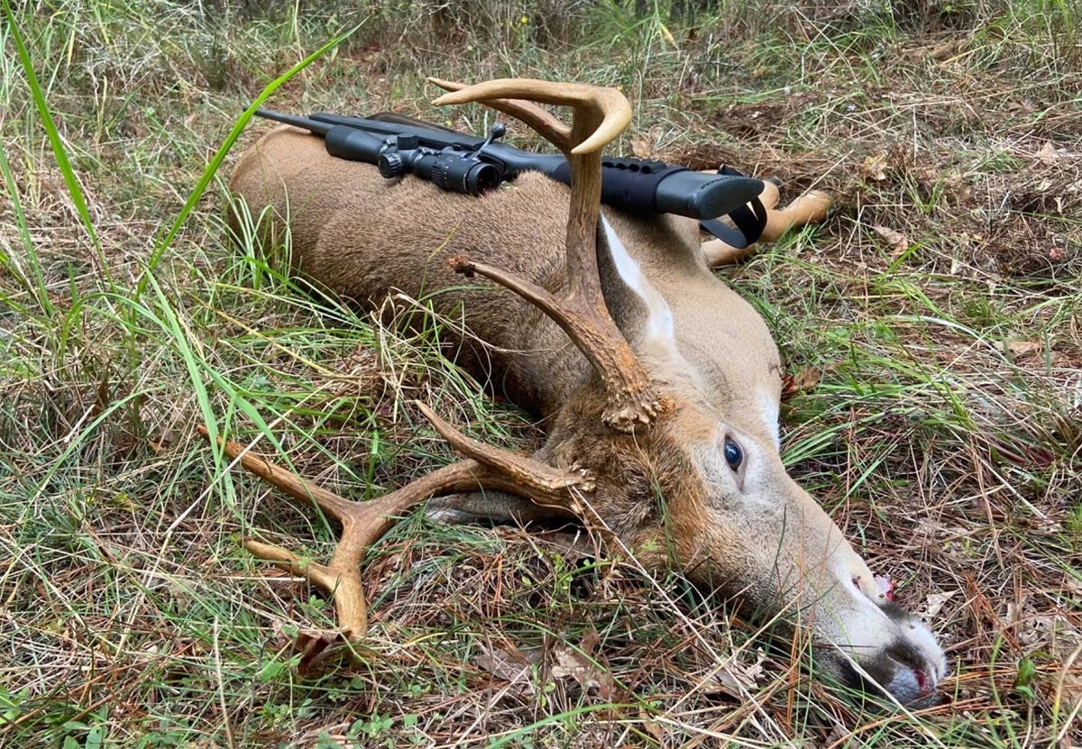 Bagging Big Antlers: Tips for Hunting Elusive Bucks