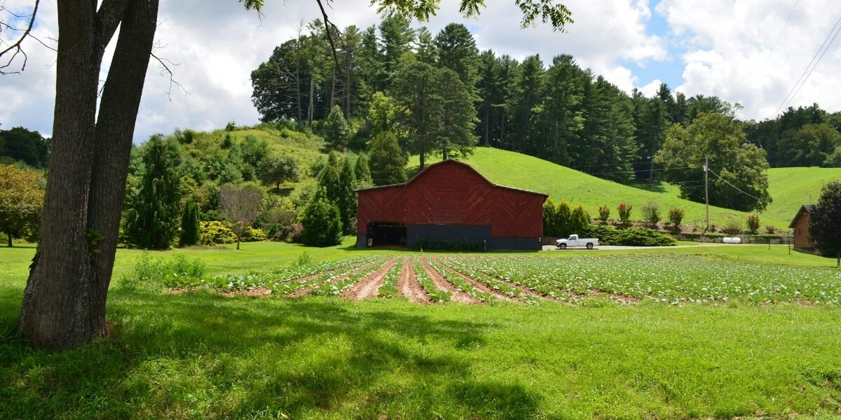 6 Strategies to Maximize the Value of your Homesteading Land