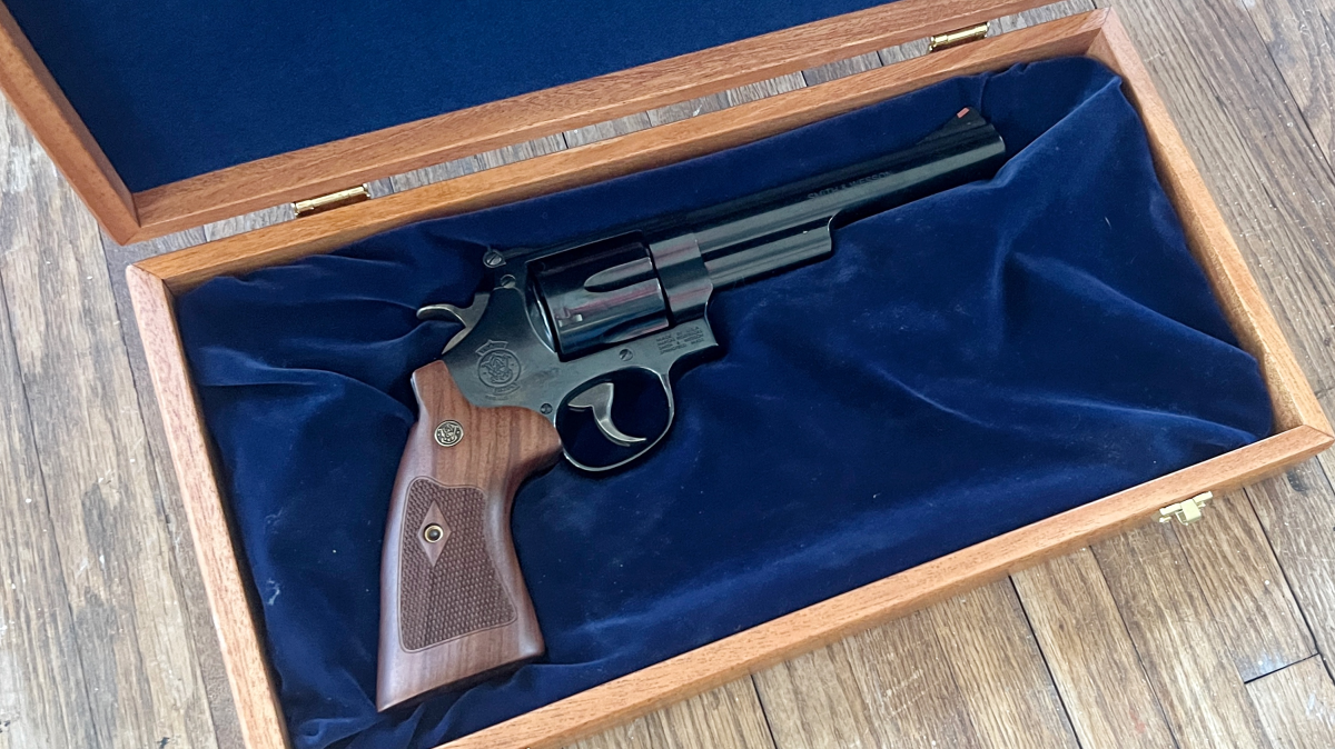 Model 29