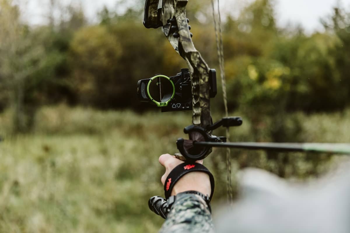 The Finest Bow Sights of 2025