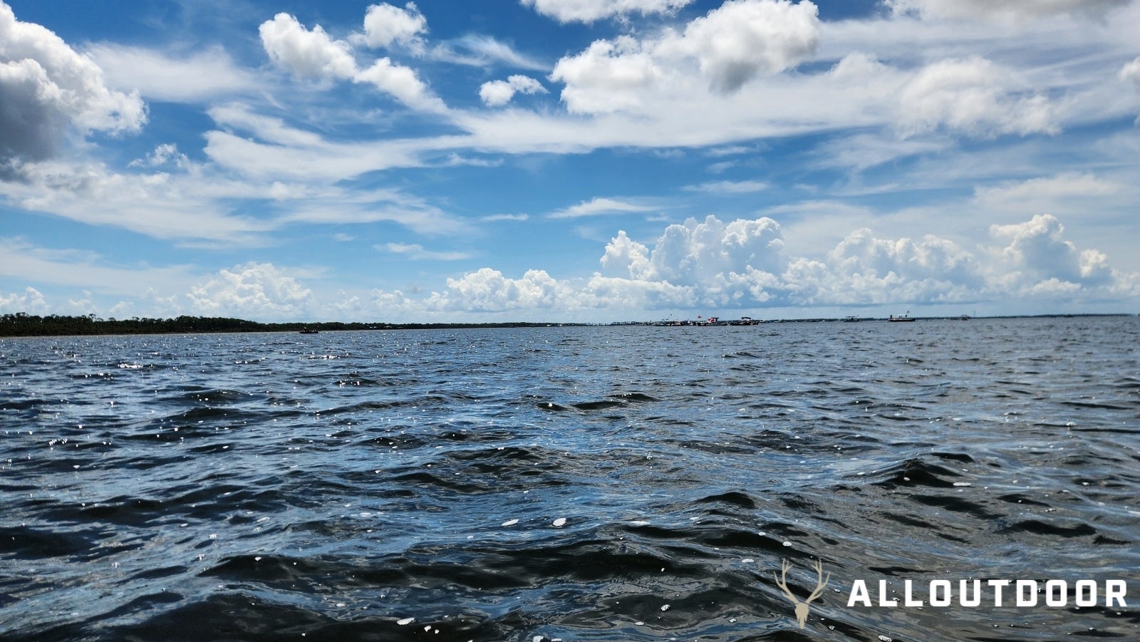 Kayak Scalloping Florida Bay Scallops in Port St. Joe in the Gulf of Mexico