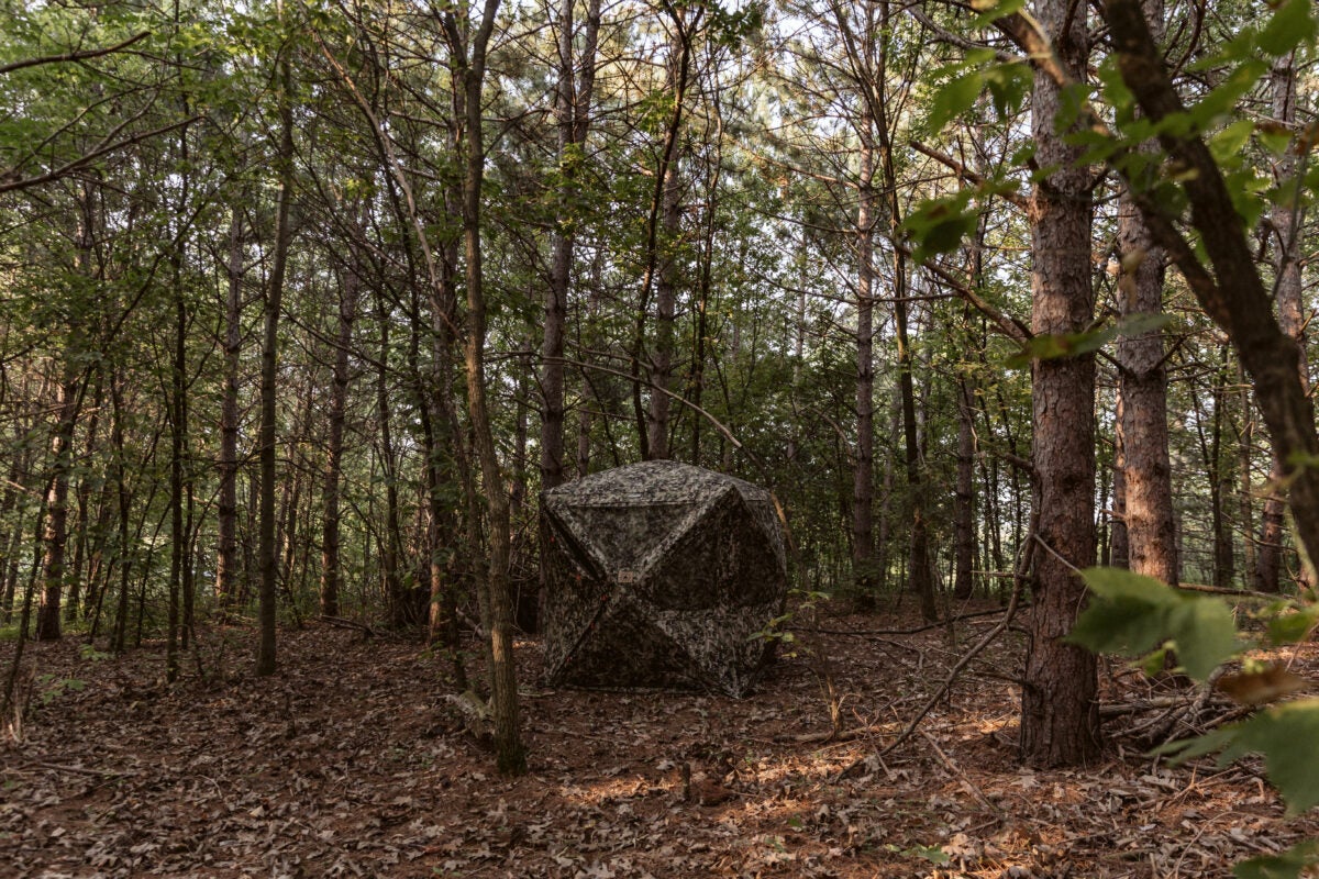 The Best Ground Blind for Bowhunting | Top Picks & Buying Guide