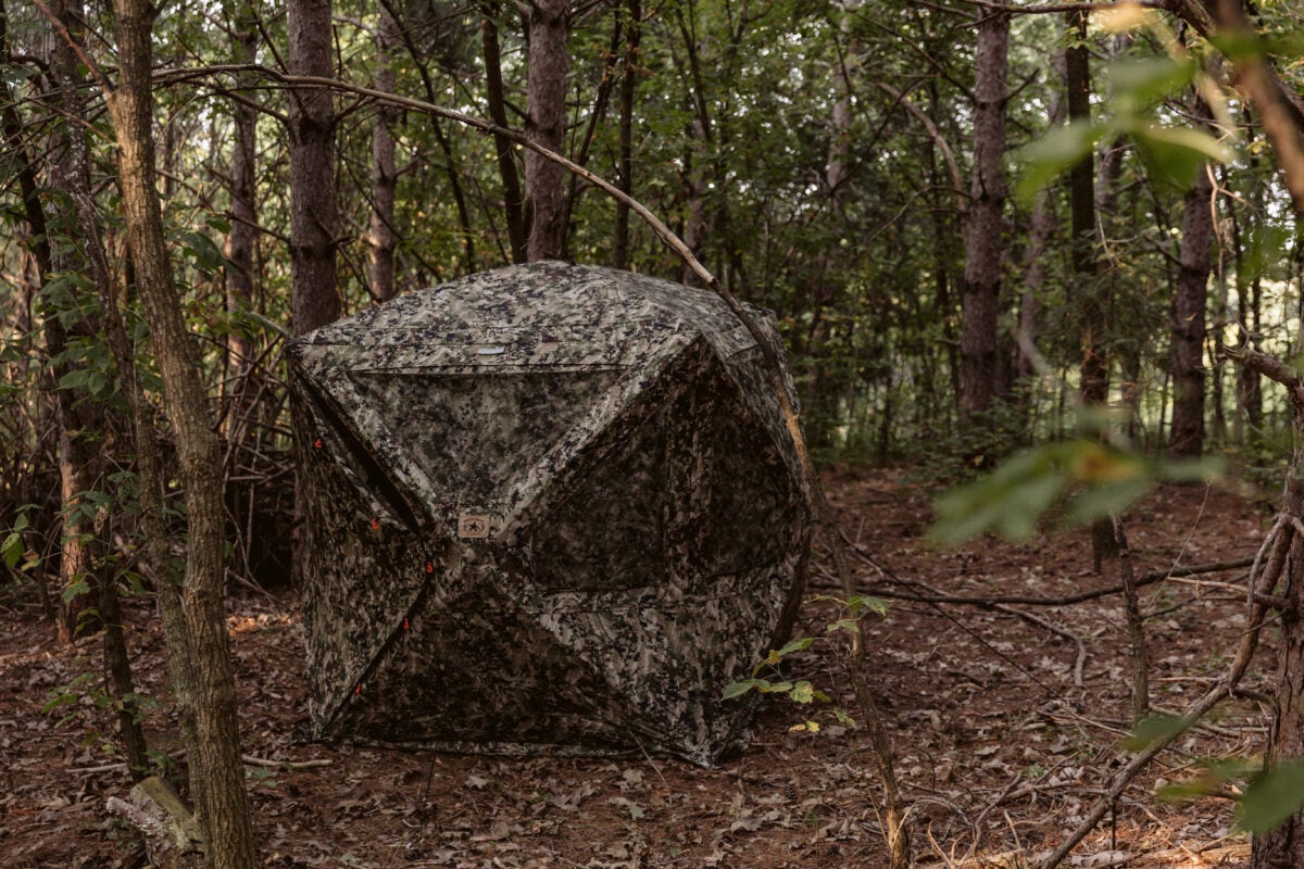 The Best Ground Blind for Bowhunting | Top Picks & Buying Guide