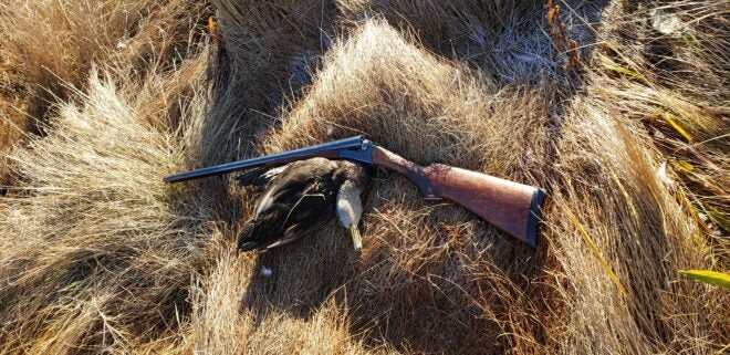 What Should Your First Shotgun Be? Tips, Pointers & Things to Avoid