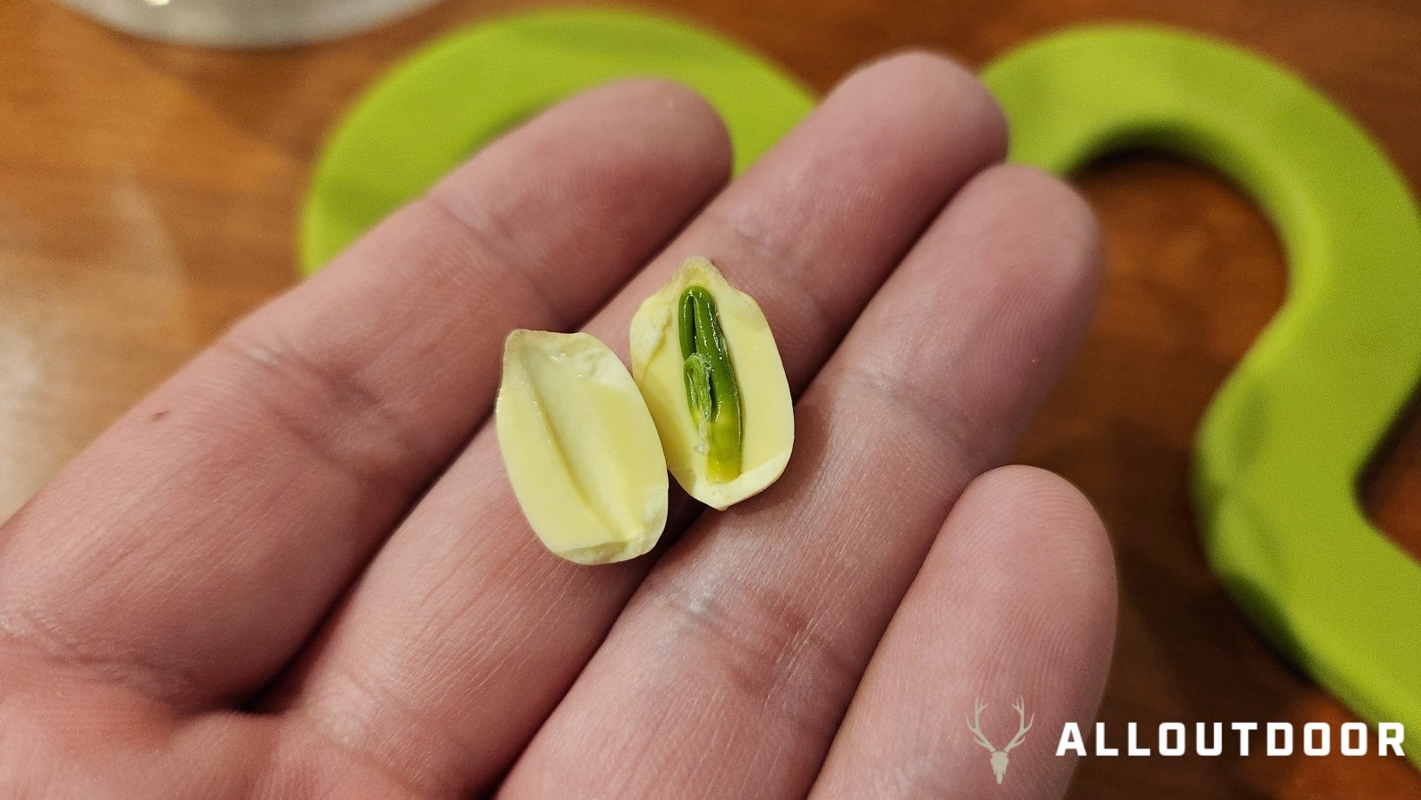 Harvesting & Cooking American Lotus - Graine A Voler