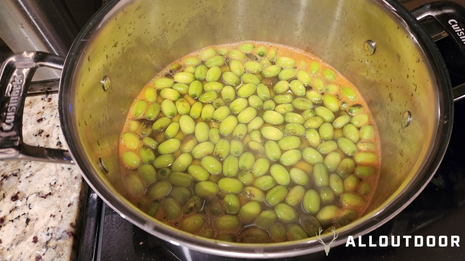 Harvesting & Cooking American Lotus - Graine A Voler