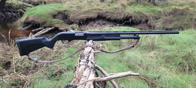 What Should Your First Shotgun Be? Tips, Pointers & Things to Avoid