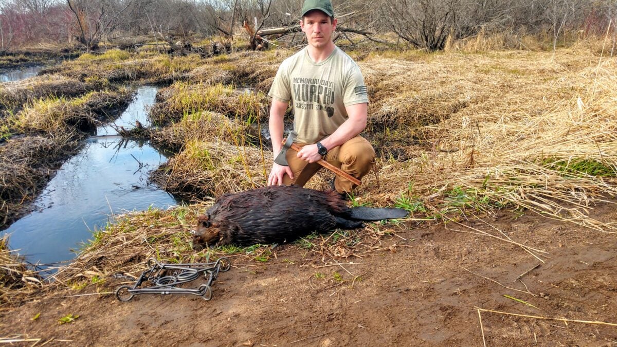 How to Trap a Beaver: Safe and Effective Methods Explained