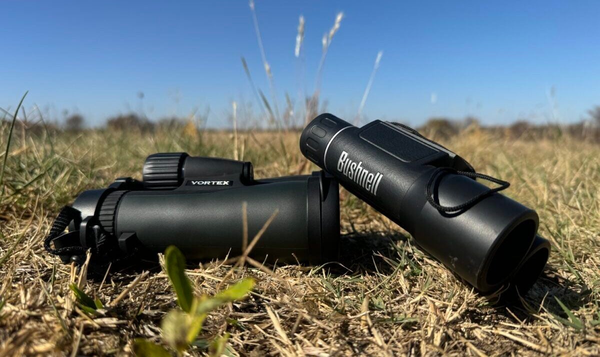 The Best Binoculars For Hunting: Top Picks & Recommendations