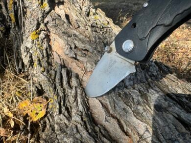 The Best Hunting Knife Brands: Top Blades & Name Brands