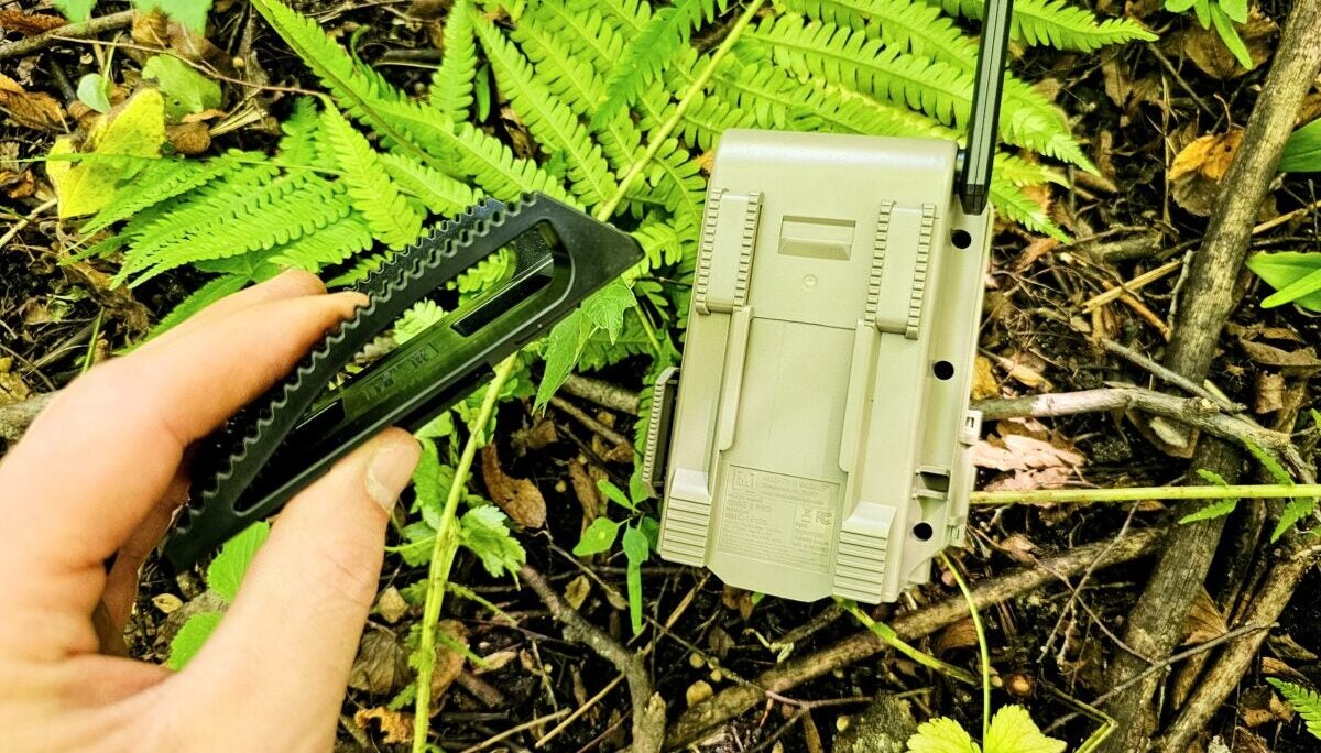 AllOutdoor Review: Moultrie Mobile Edge 2 Pro Cellular Trail Camera