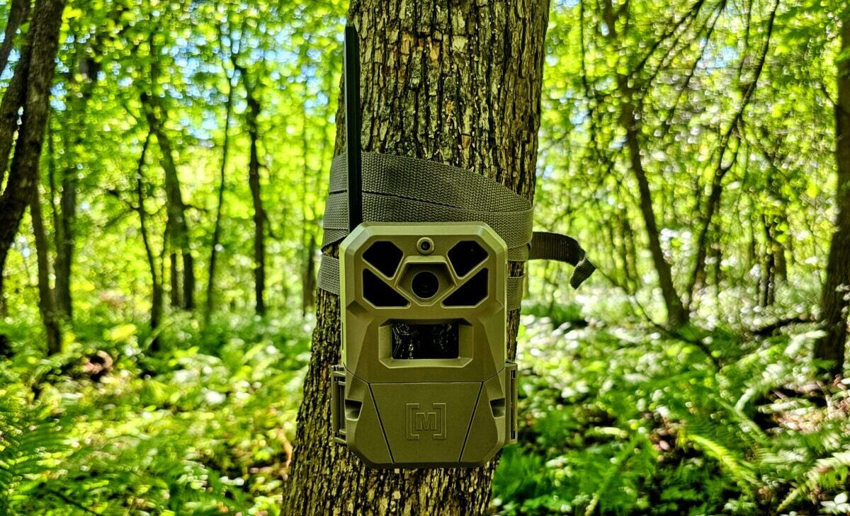 AllOutdoor Review: Moultrie Mobile Edge 2 Pro Cellular Trail Camera