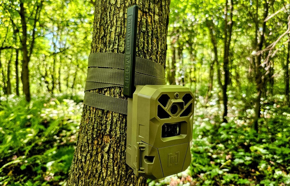 AllOutdoor Review: Moultrie Mobile Edge 2 Pro Cellular Trail Camera