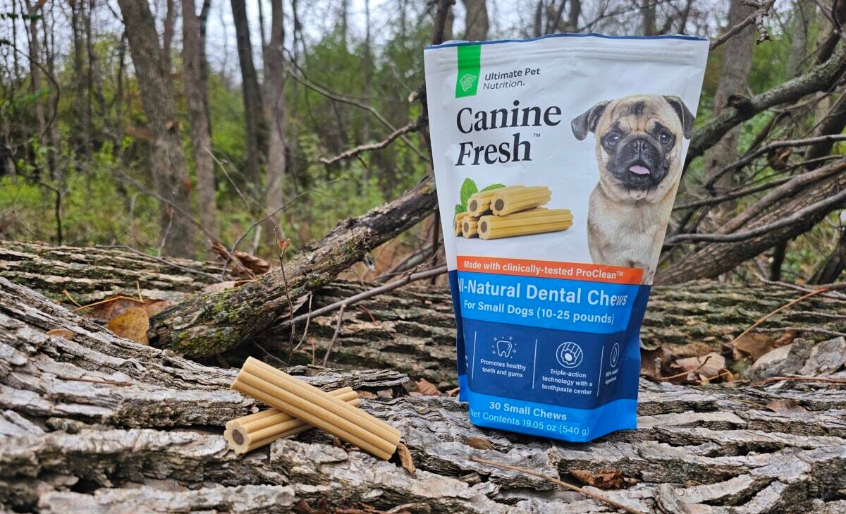 AO Review: Canine Fresh Dental Chews - Supporting Man's Best Friend