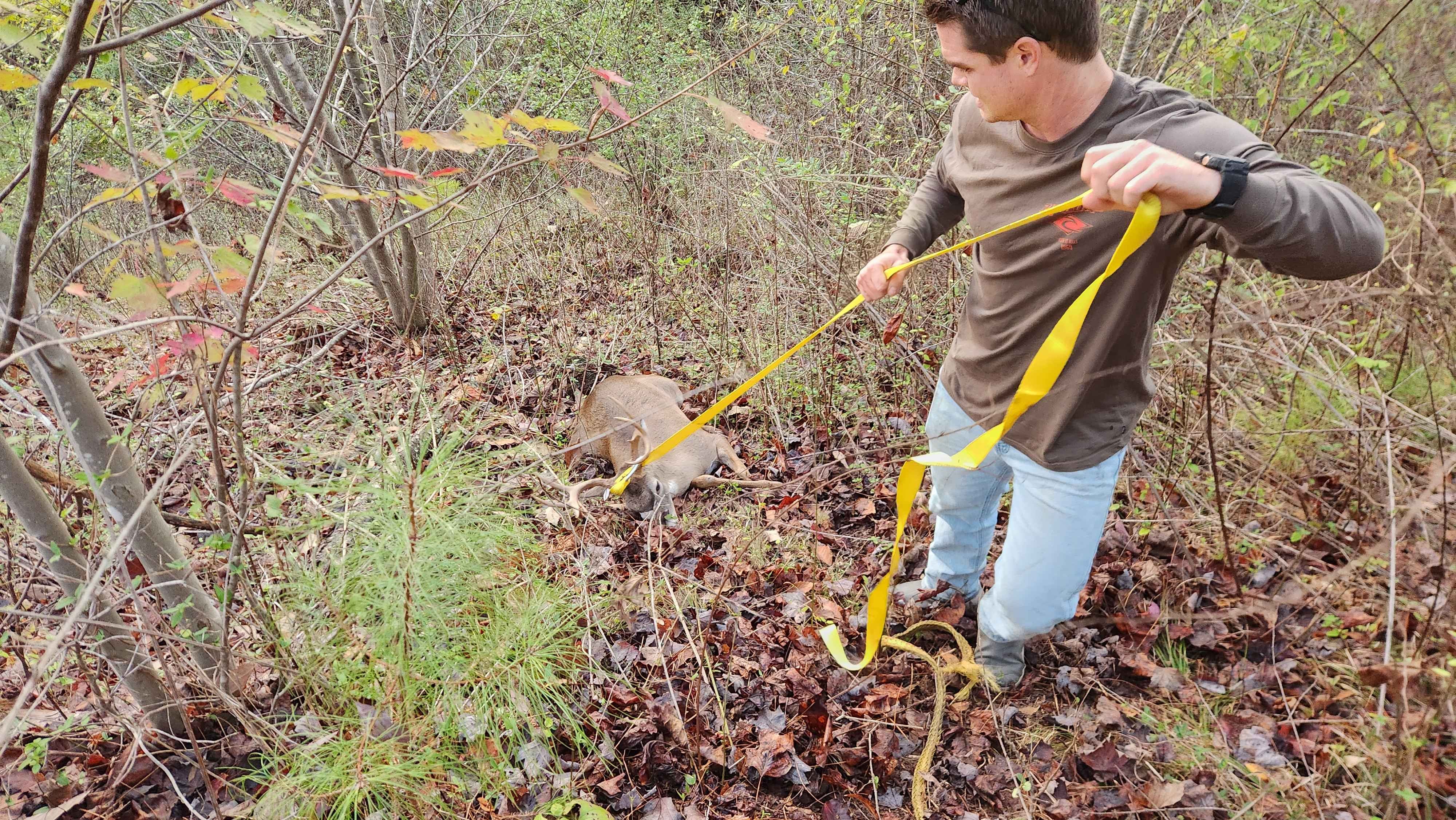 southeast southeastern whitetail deer hunting checklist