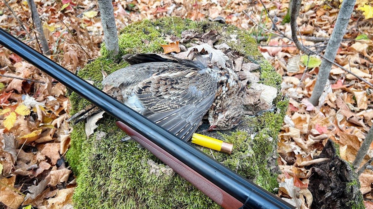 Bobwhite G2 Intermediate