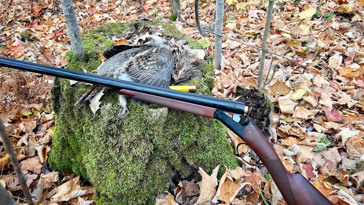 Bobwhite G2 Intermediate