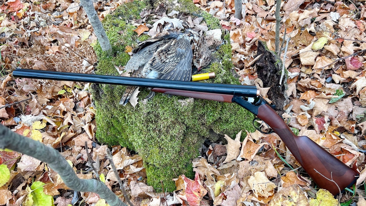 Grouse Searching with the CZ Bobwhite G2 Intermediate 20 Ga SxS