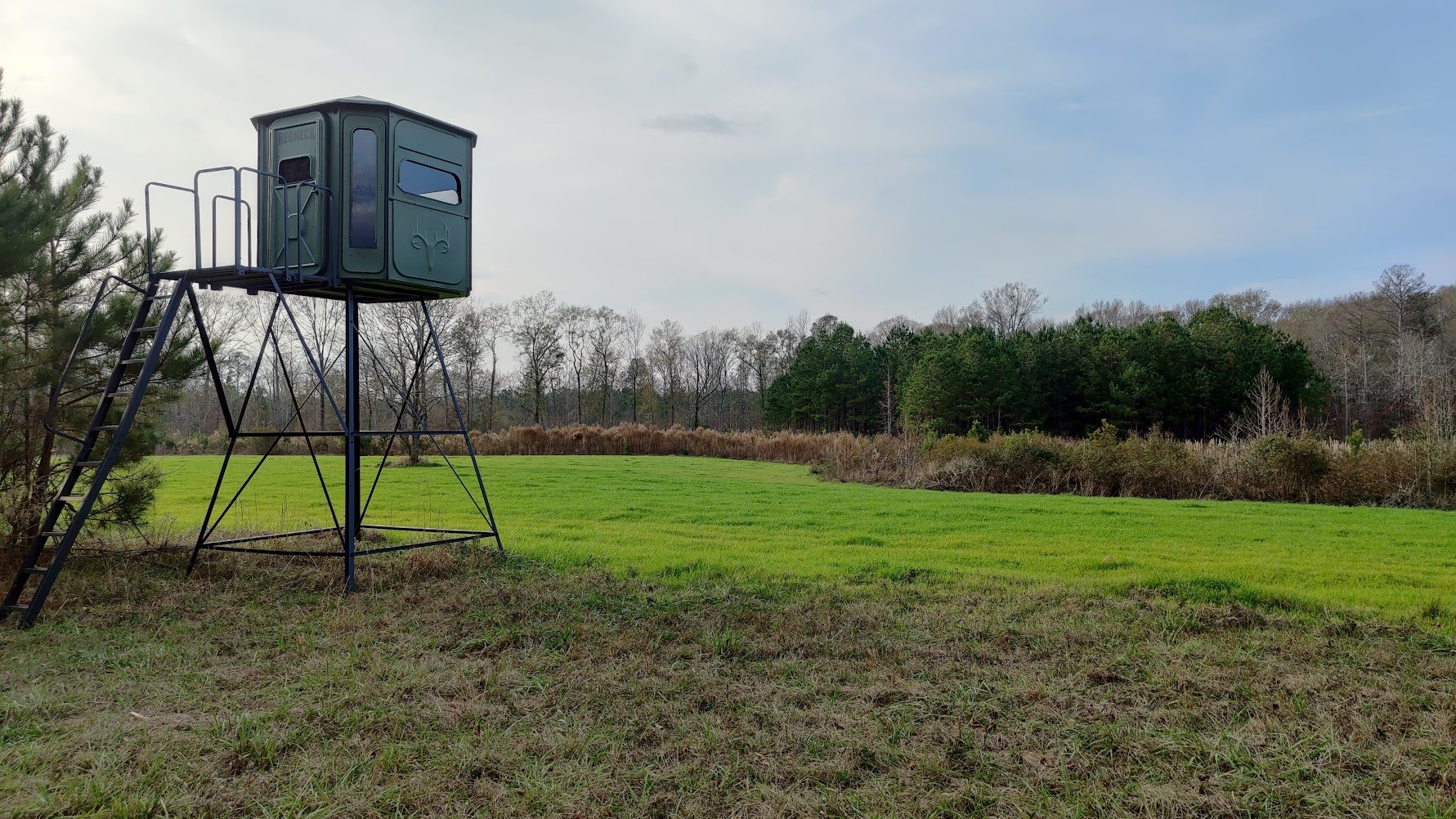 Southeastern Whitetail Deer Looking Guidelines