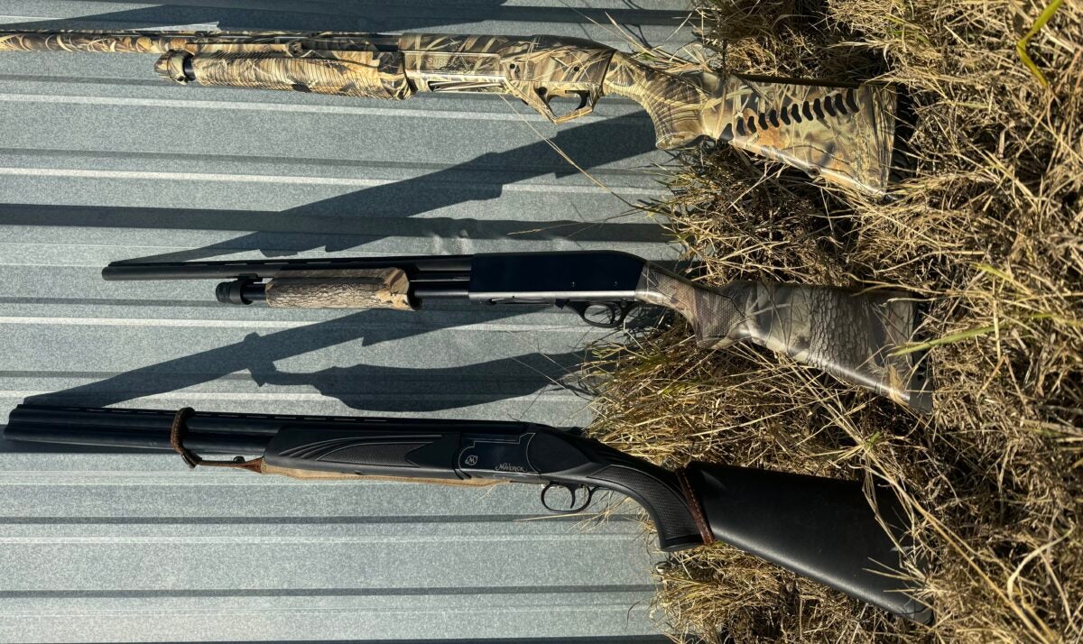 The Best Hunting Shotguns in 2024 – Waterfowl, Upland, and More!