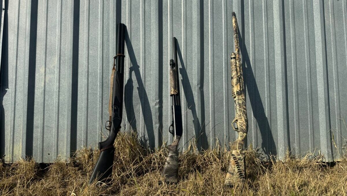 The Best Hunting Shotguns in 2024 – Waterfowl, Upland, and More!