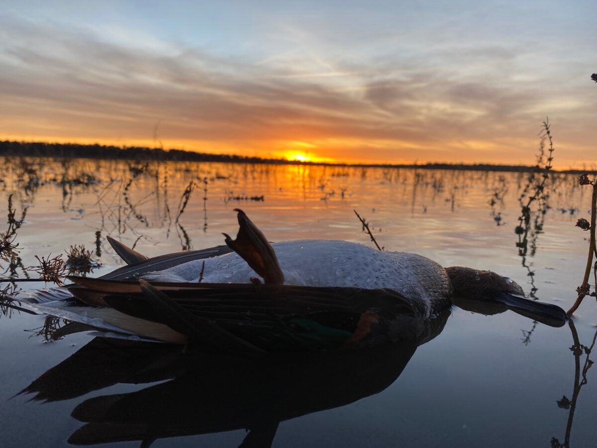 Beginner’s Guide for How to Duck Hunt from a Kayak