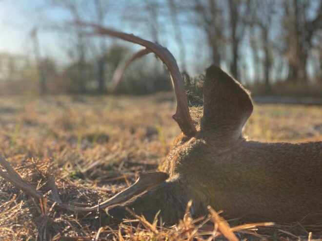 Kayak Deer Hunting Made Easy! Tips & Tricks to Increase your Success