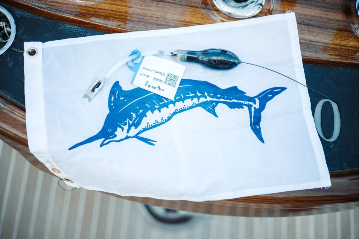 The Skillie Project – Largest White Marlin Satellite Tagging Mission