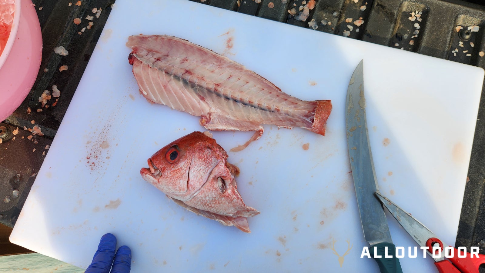 Cook Your Catch: Korean Fish Head Soup - Scraps to Dinner