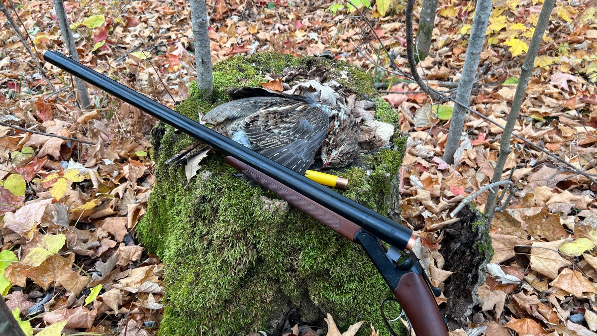 Grouse Hunting