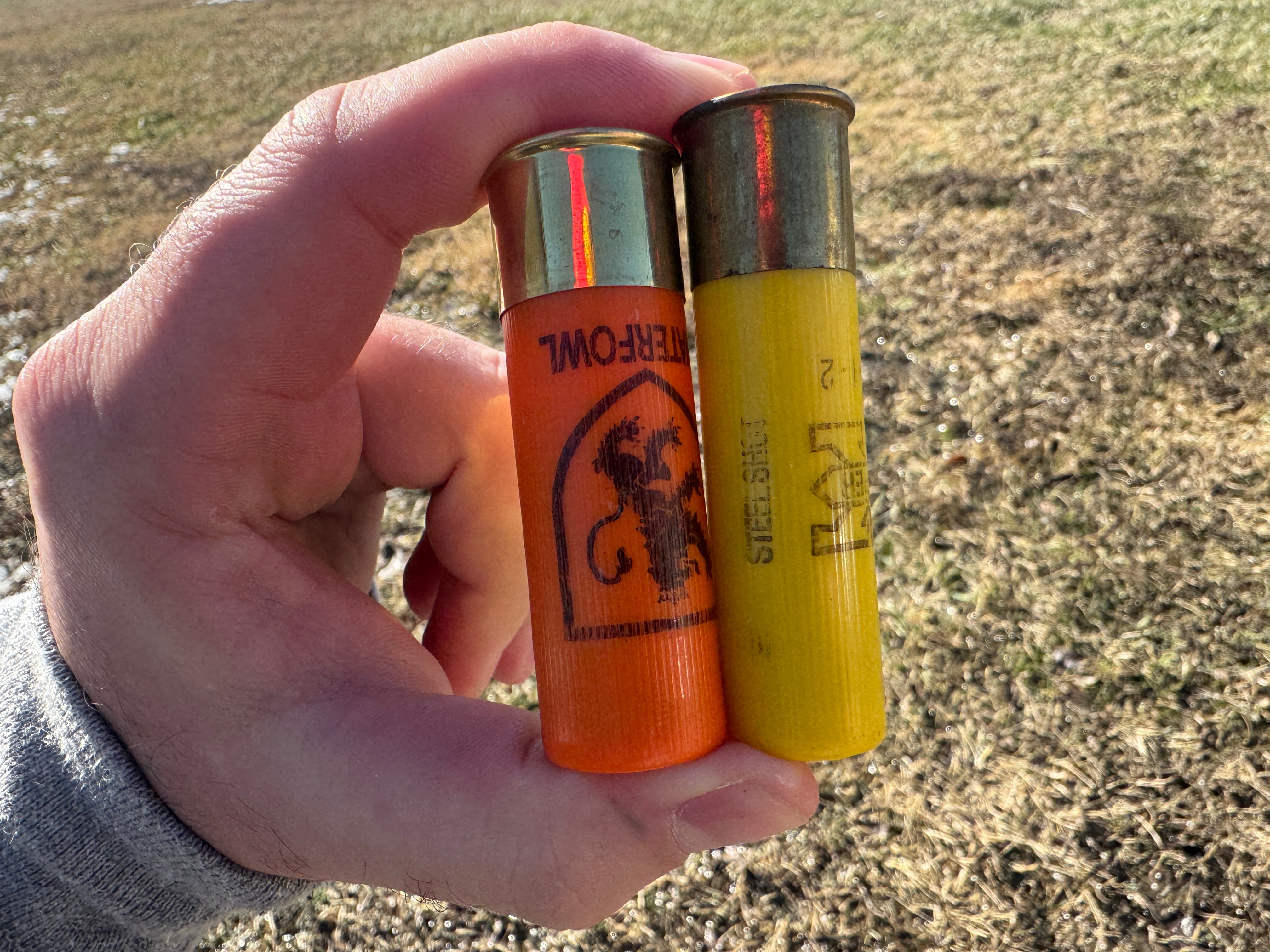 12 Gauge vs 20 Gauge: Which to Use for Duck & Goose Hunting?