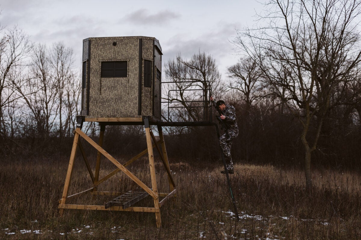 Coyote Hunting Seasons by State: The Best Times to Hunt Coyotes