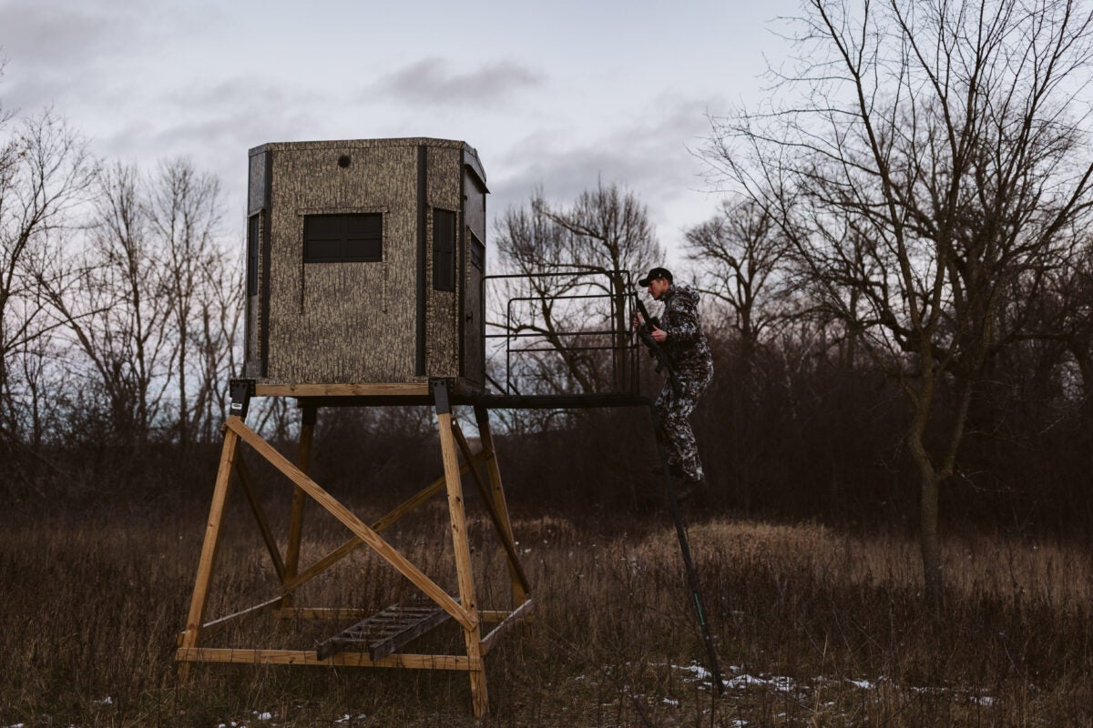 Coyote Hunting at Night: Tactics & Wisdom to Conquer the Darkness