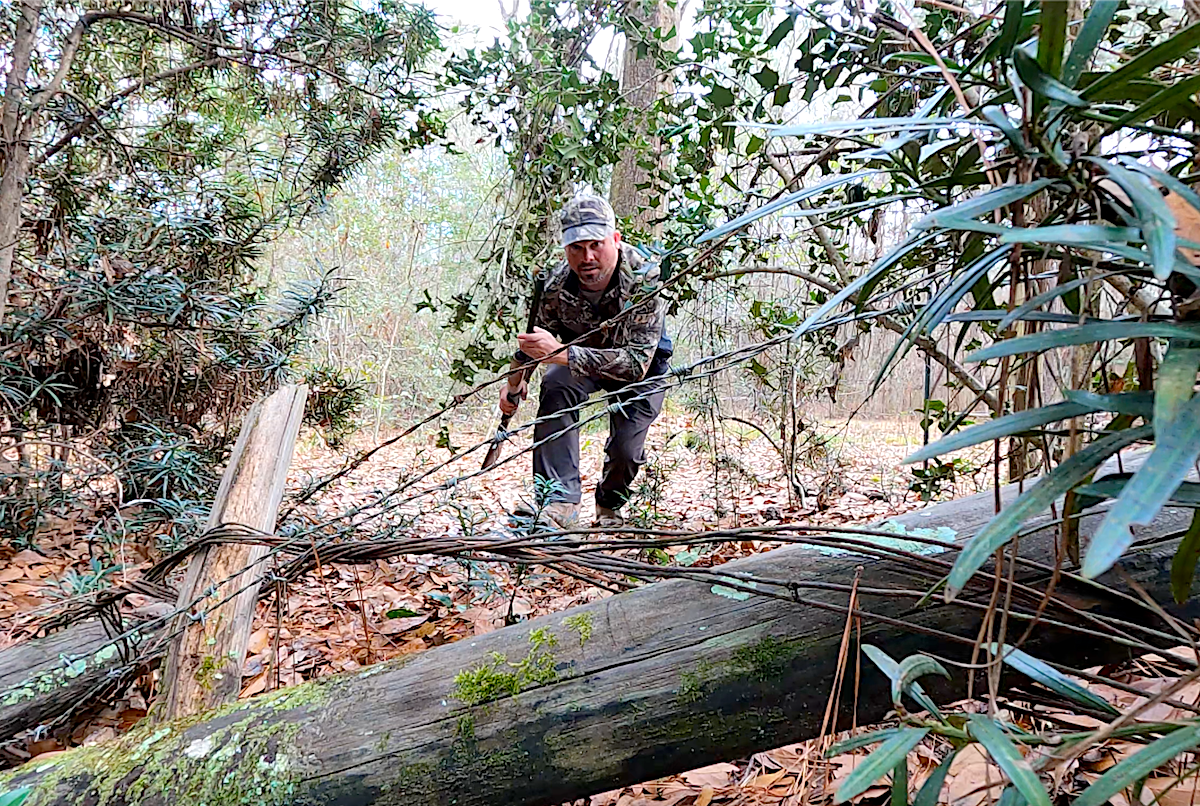 5 Squirrel Hunting Tips - Put More Meat in the Freezer!