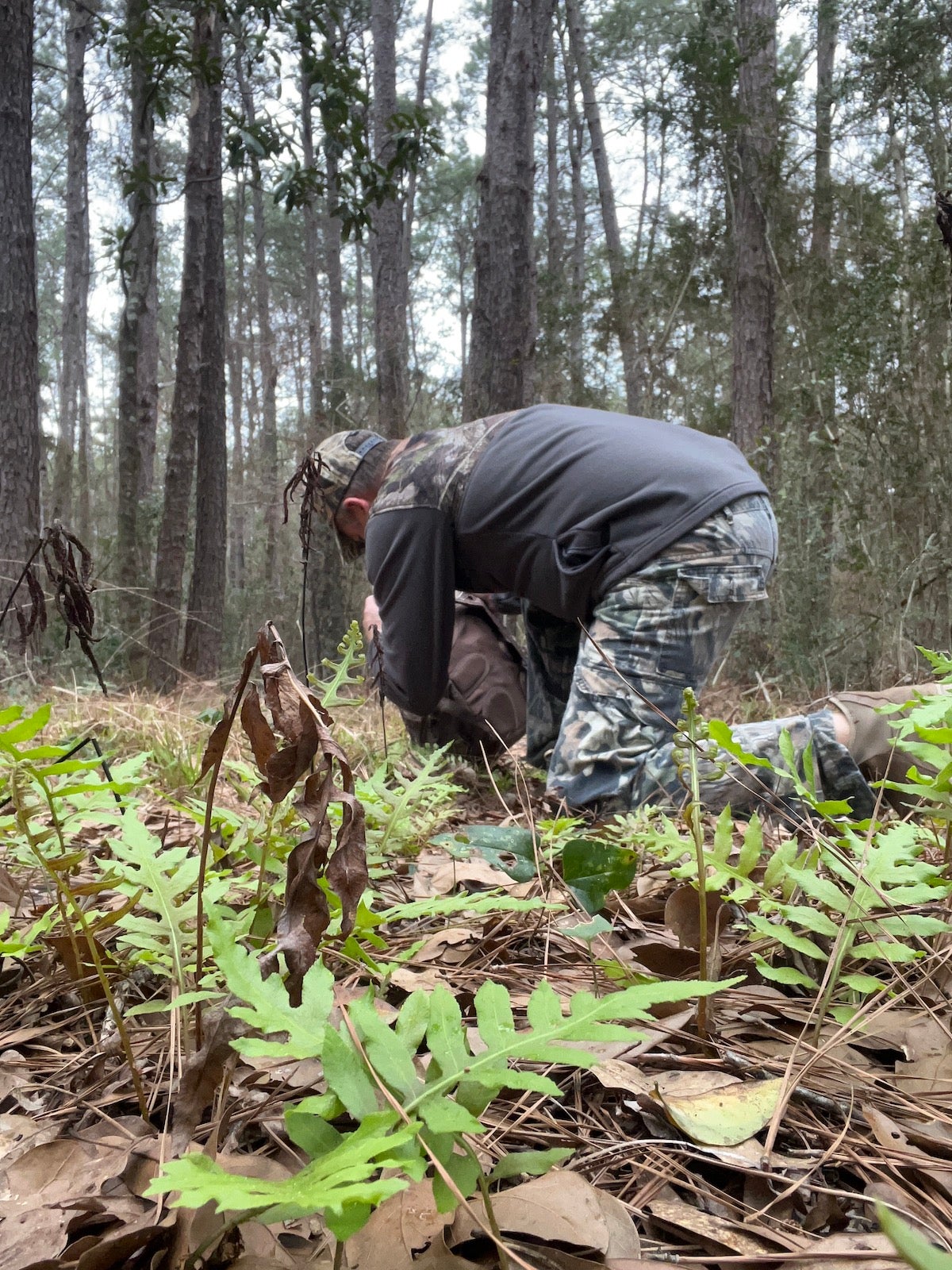 Turkey Decoy Strategies: Season-Specific Wisdom to Fool Longbeards